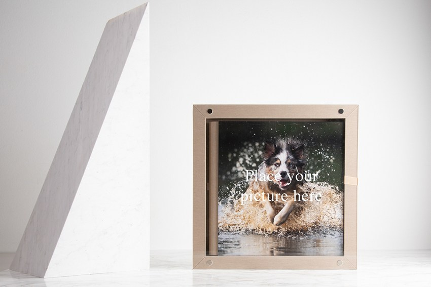 Gobook. Fotografo di matrimonio ed eventi ad ariano irpino