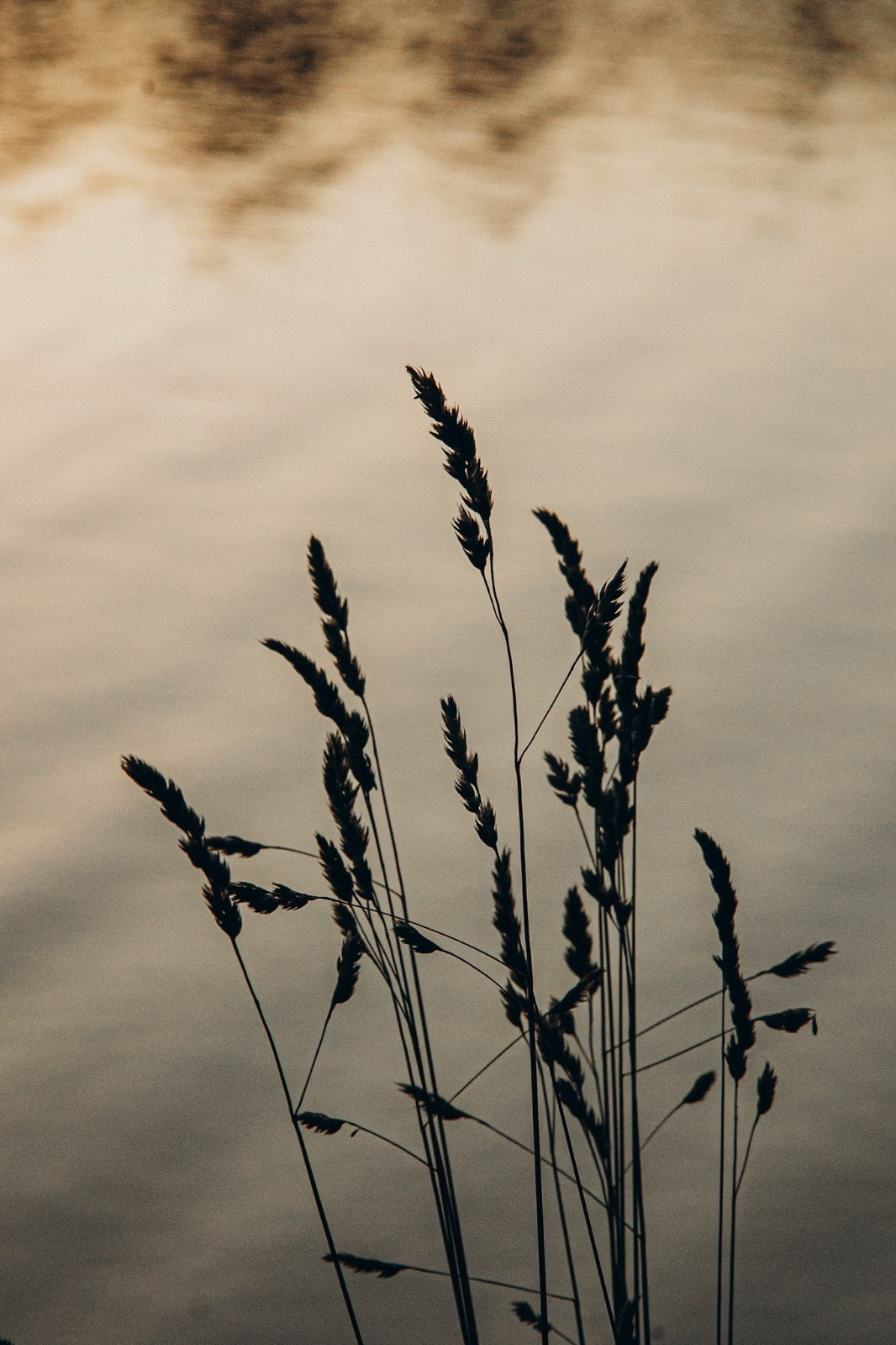 Schwangerschaft. Achtsame Fotografin| Margarita Mayer
