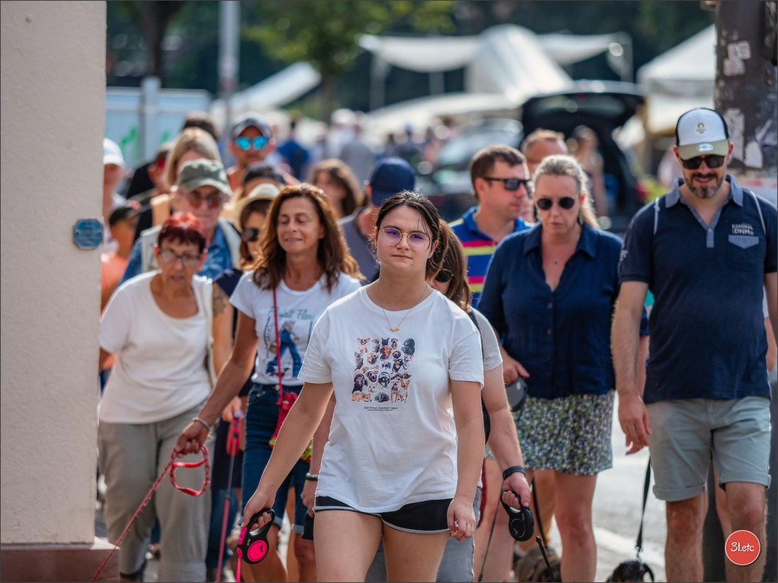 Teckels Parade Strasbourgeoise  Vous pouvez voir le galerie de photos. Photographe à Strasbourg | Portraits, Studio, Enfants, Événements