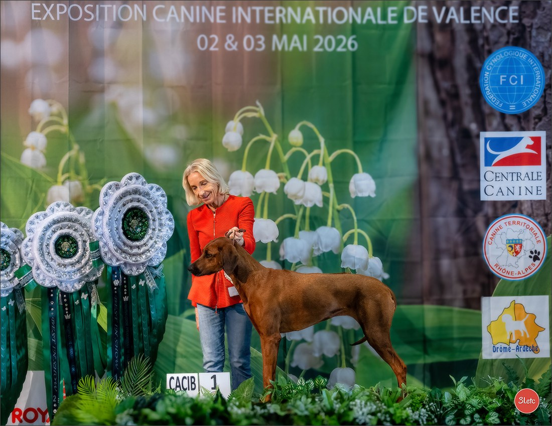Expo canine 🇫🇷 Valence 02-03/05/2026
