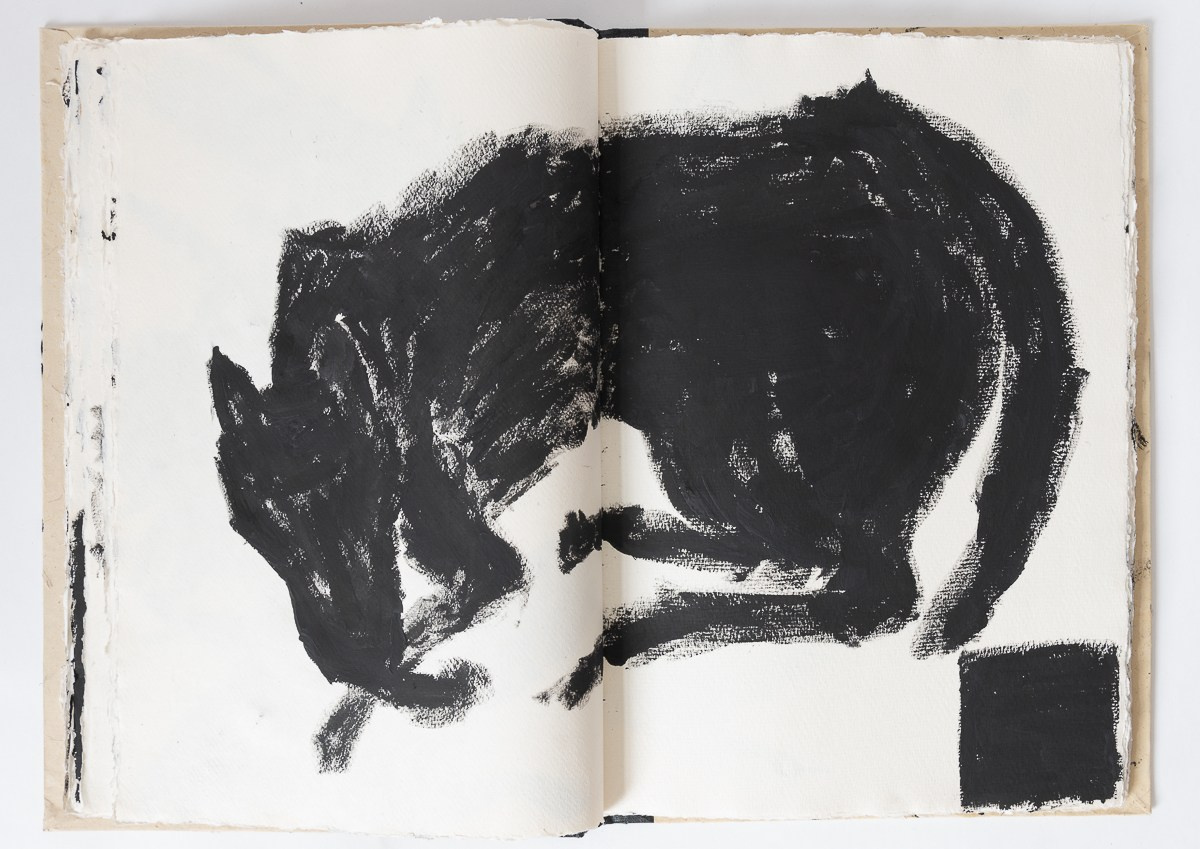 Rebelion, 2018. Haim Sokol’s artists website