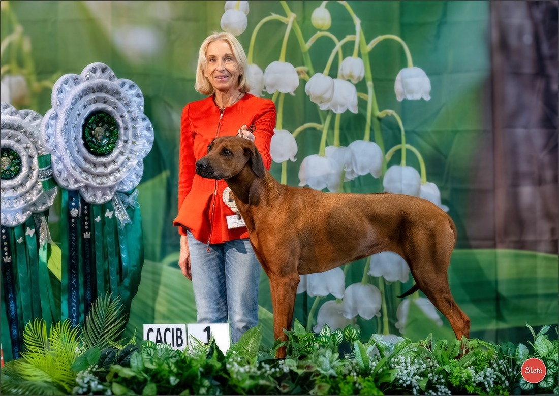 Expo canine 🇫🇷 Valence 02-03/05/2026