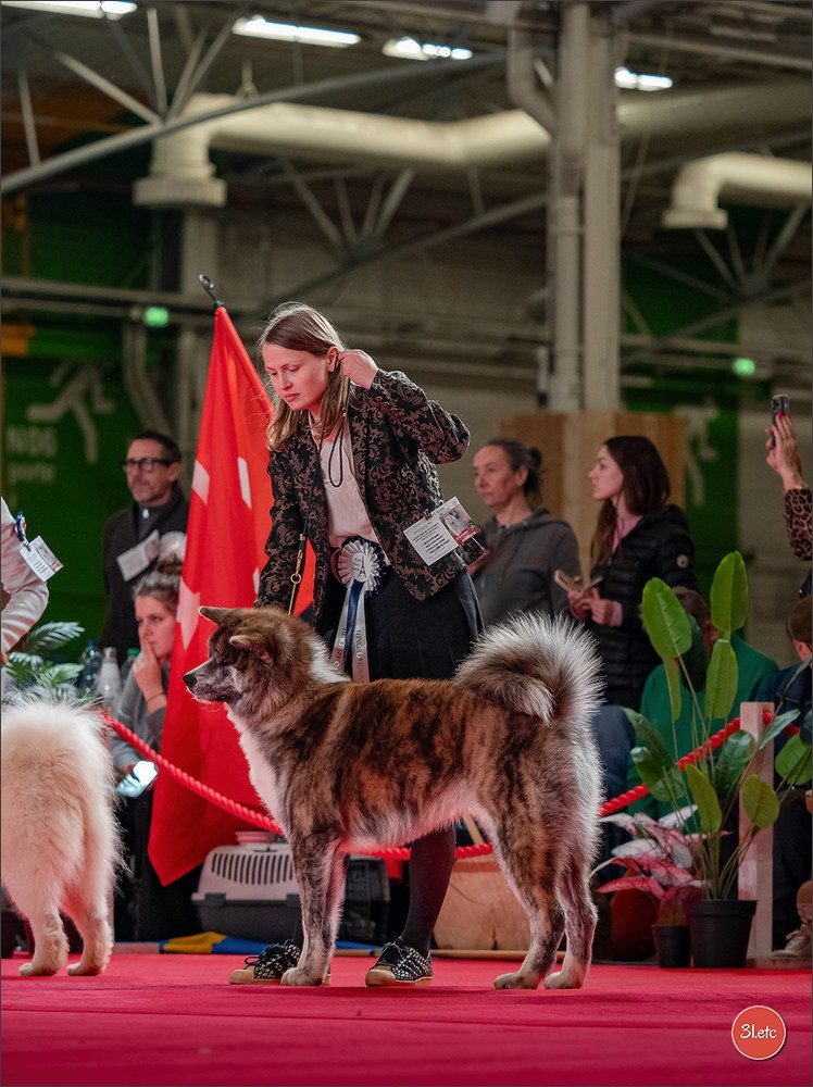 PDS  🇫🇷  Paris Dog Show  🇫🇷  Expo canine  10-11/01/2026. Photographe à Strasbourg | Portraits, Studio, Enfants, Événements