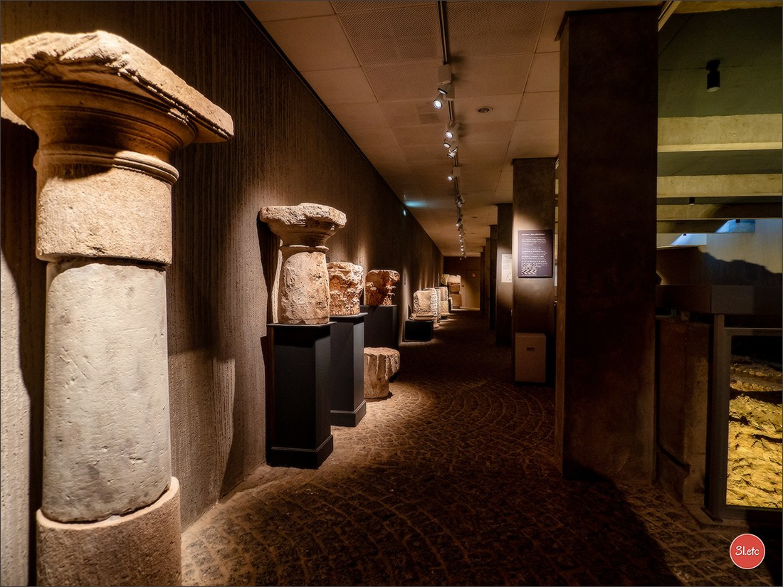 Poitiers 🇫🇷. Photographe à Strasbourg | Portraits, Studio, Enfants, Événements