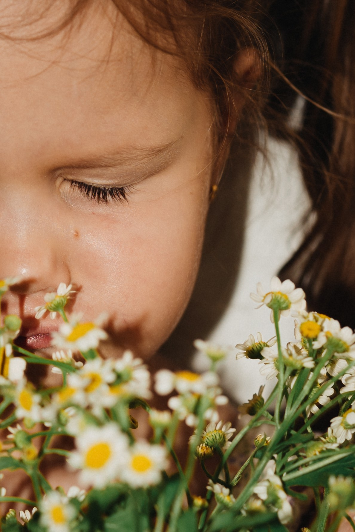 Birthday Homestory. Elena Pretzner Photography