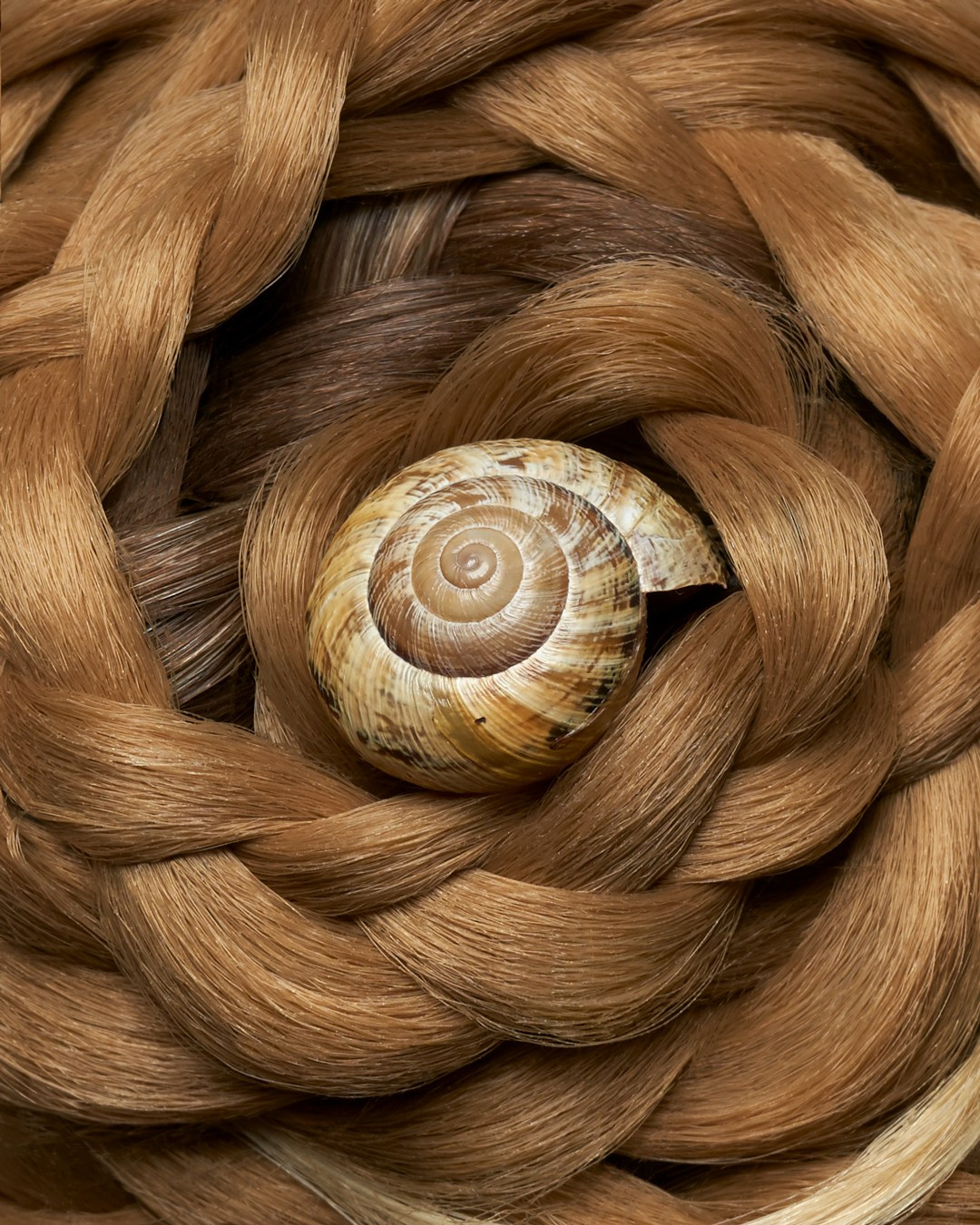 Beauty. Alireza Sahebi Photographer