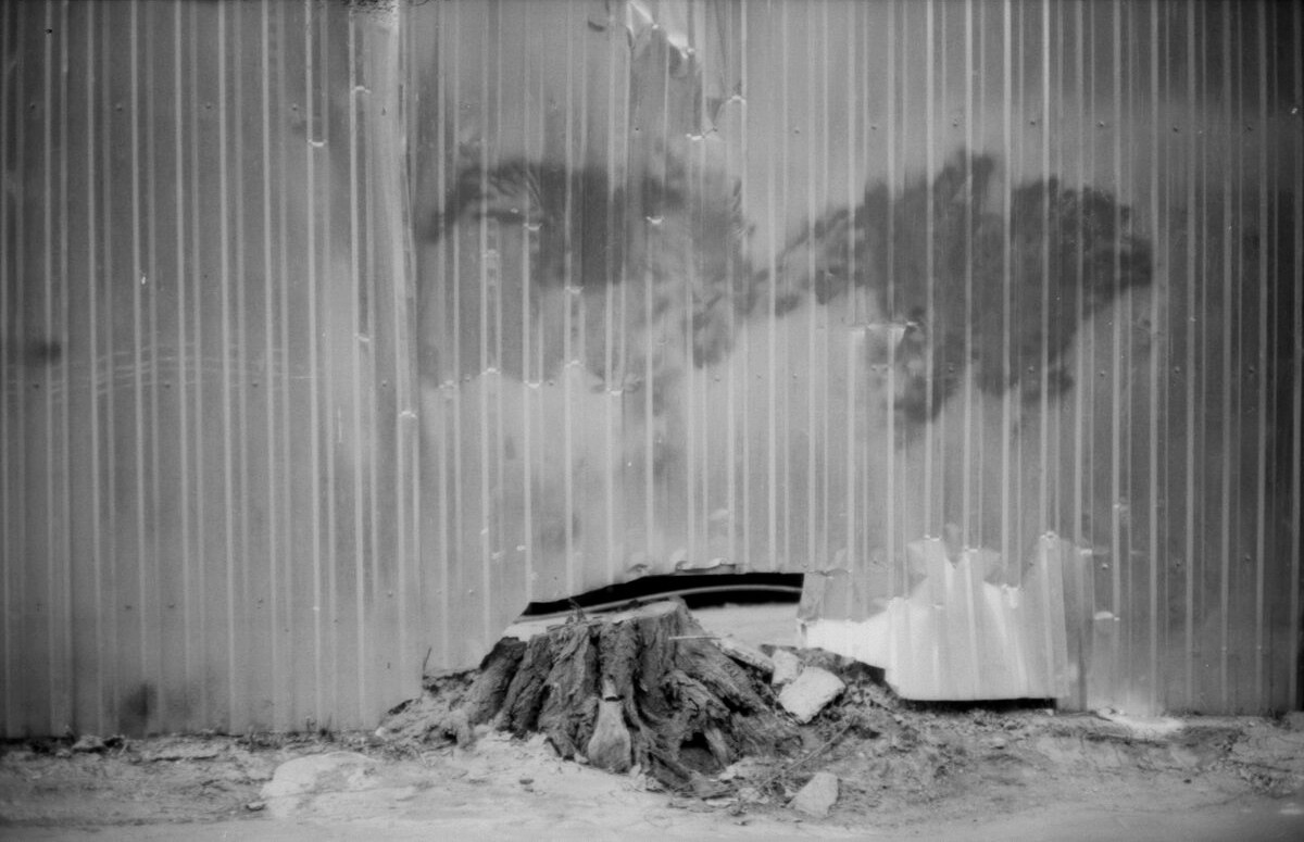 Garden of stones. Natalia Parfenova visual artist film photographer