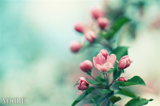 Contacts. Content photographer in Finland