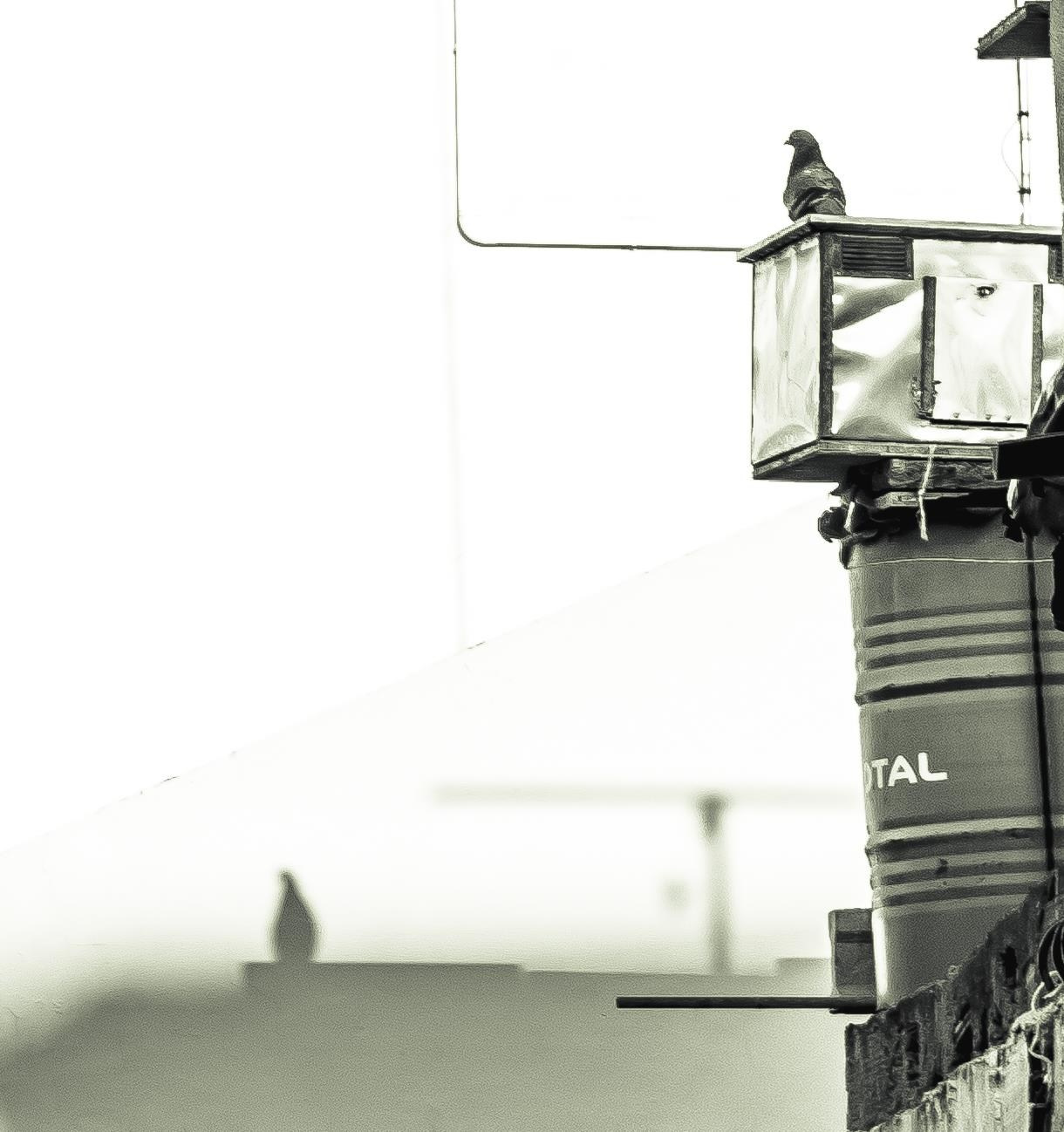 Bocetos. Alba del Norte Studio