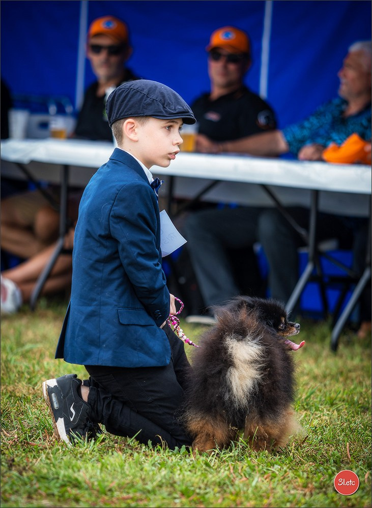 Photographie animalière. Photographe à Strasbourg | Portraits, Studio, Enfants, Événements