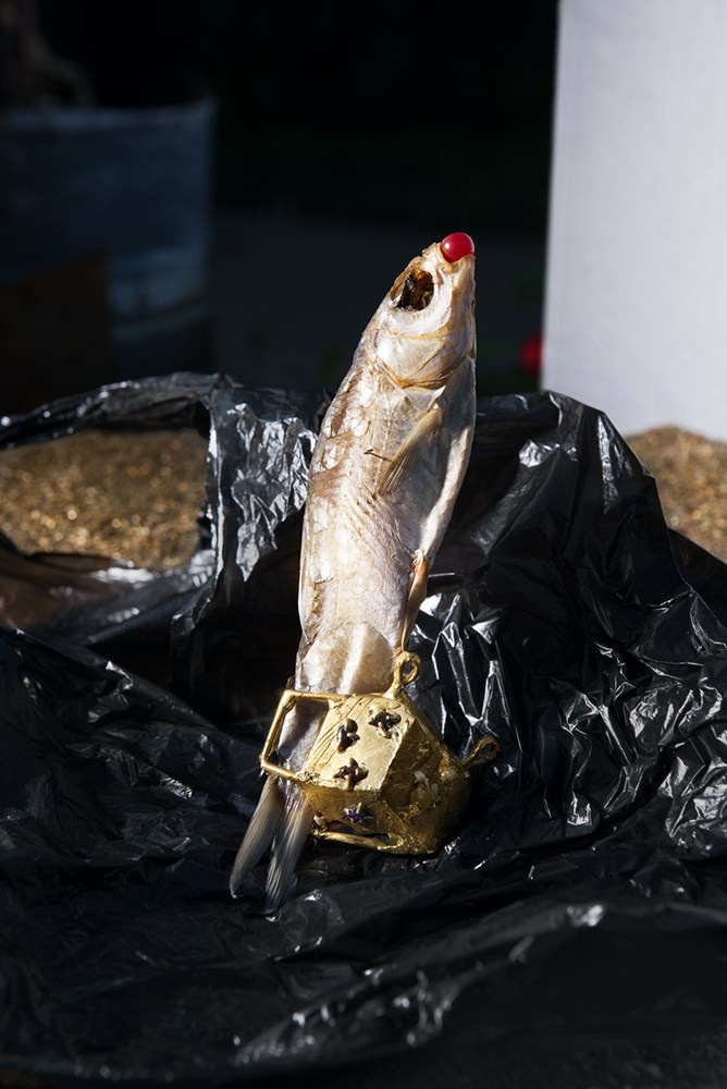 Bijouterie. Photographe de produits et natures mortes à Paris
