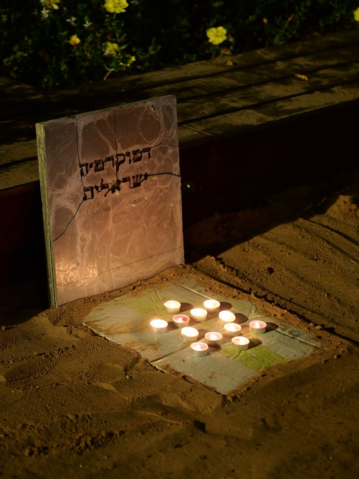 DEMIDE OF ISRAELI DEMOCRACY. Ekaterina Belukhina: Multidisciplinary artist