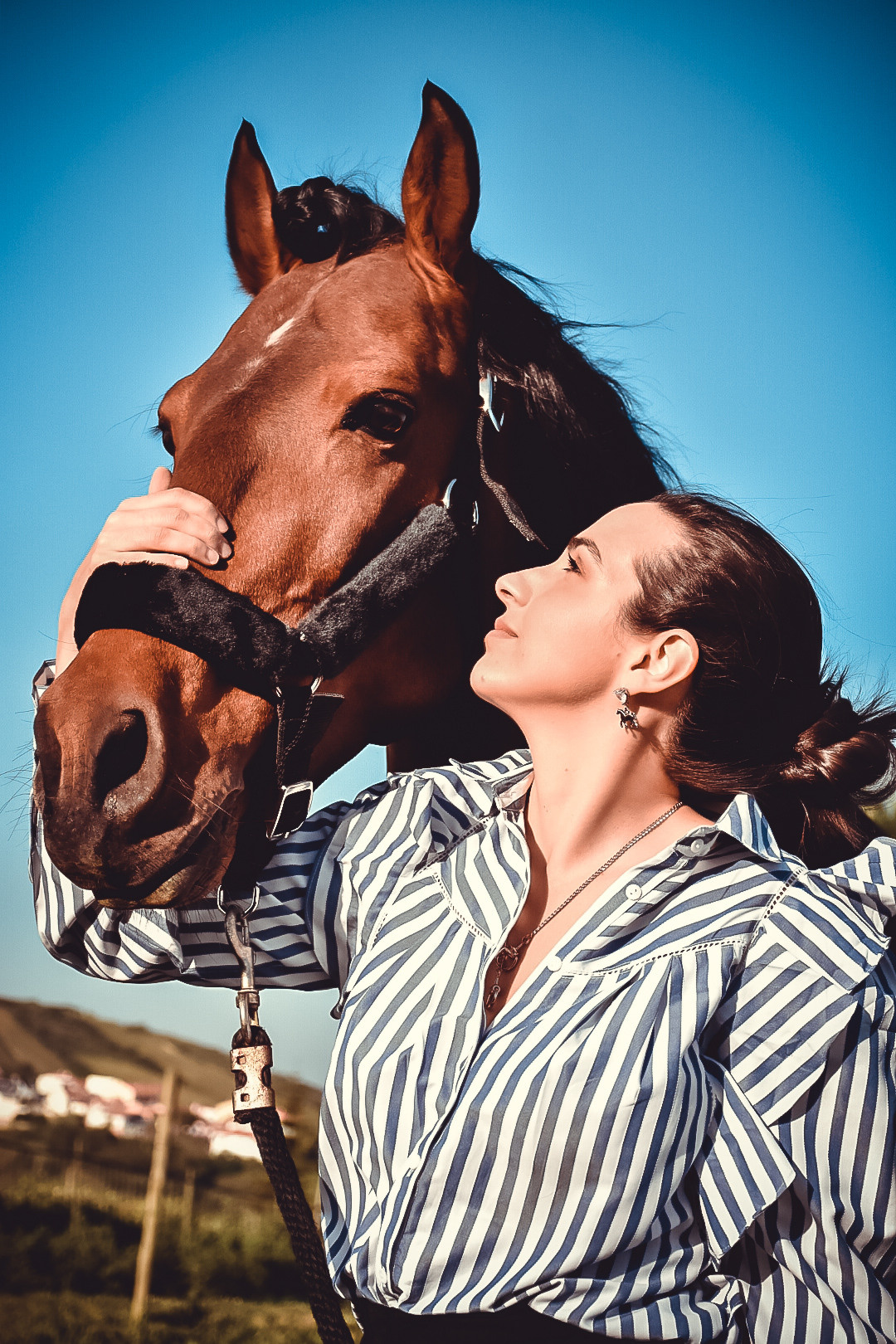 Horses. Niaferreiraphotography