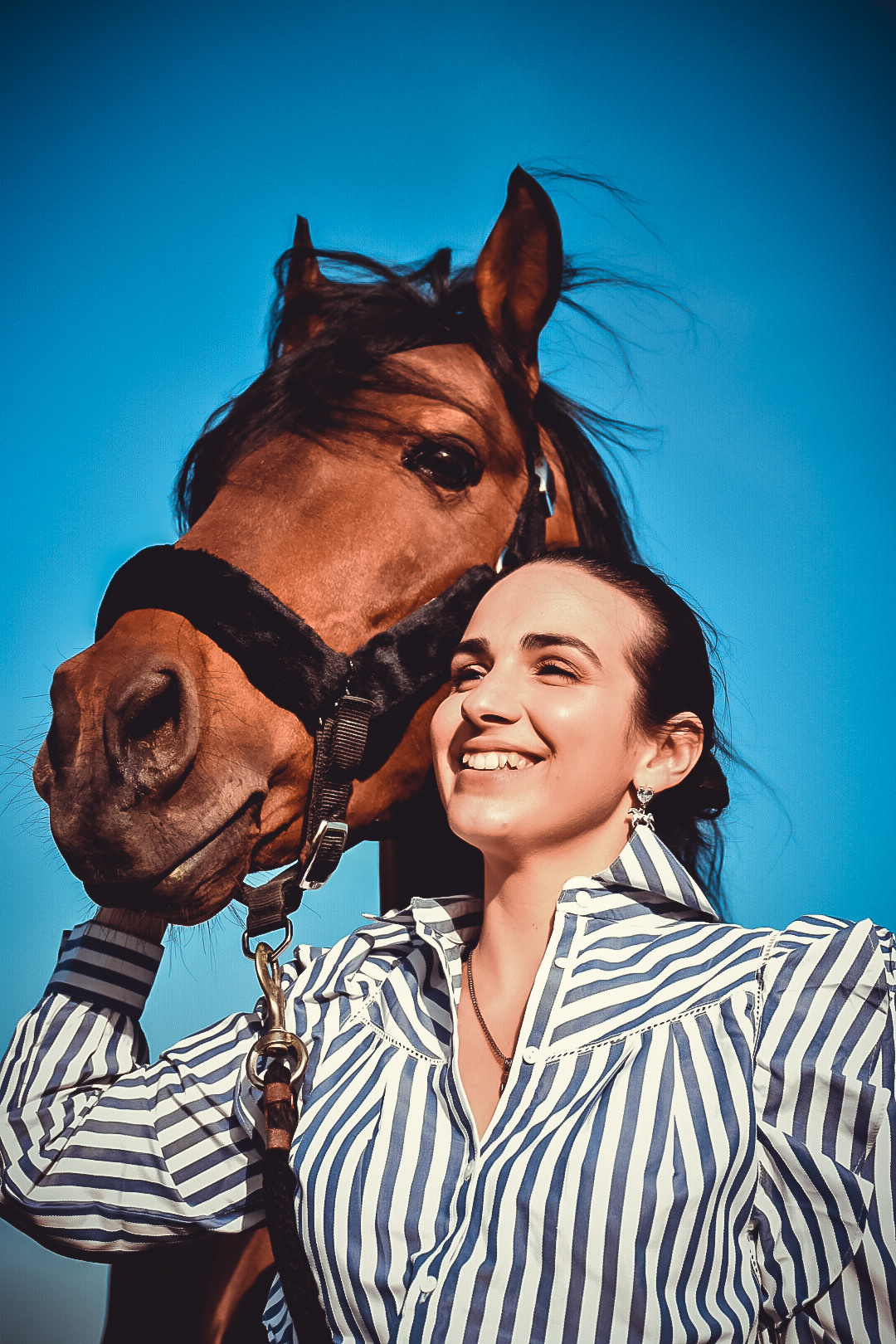 Horses. Niaferreiraphotography