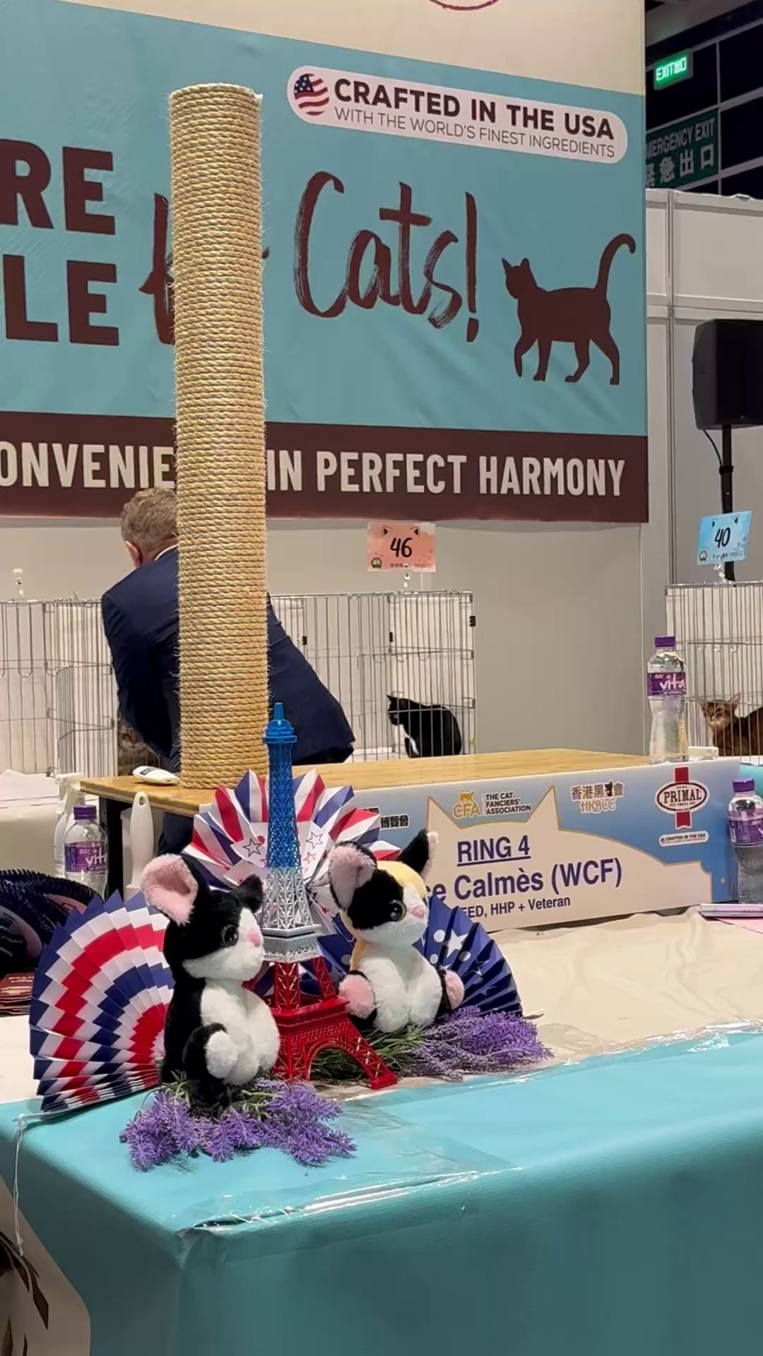 LEMON GREEN SIBERIANS CHUDO