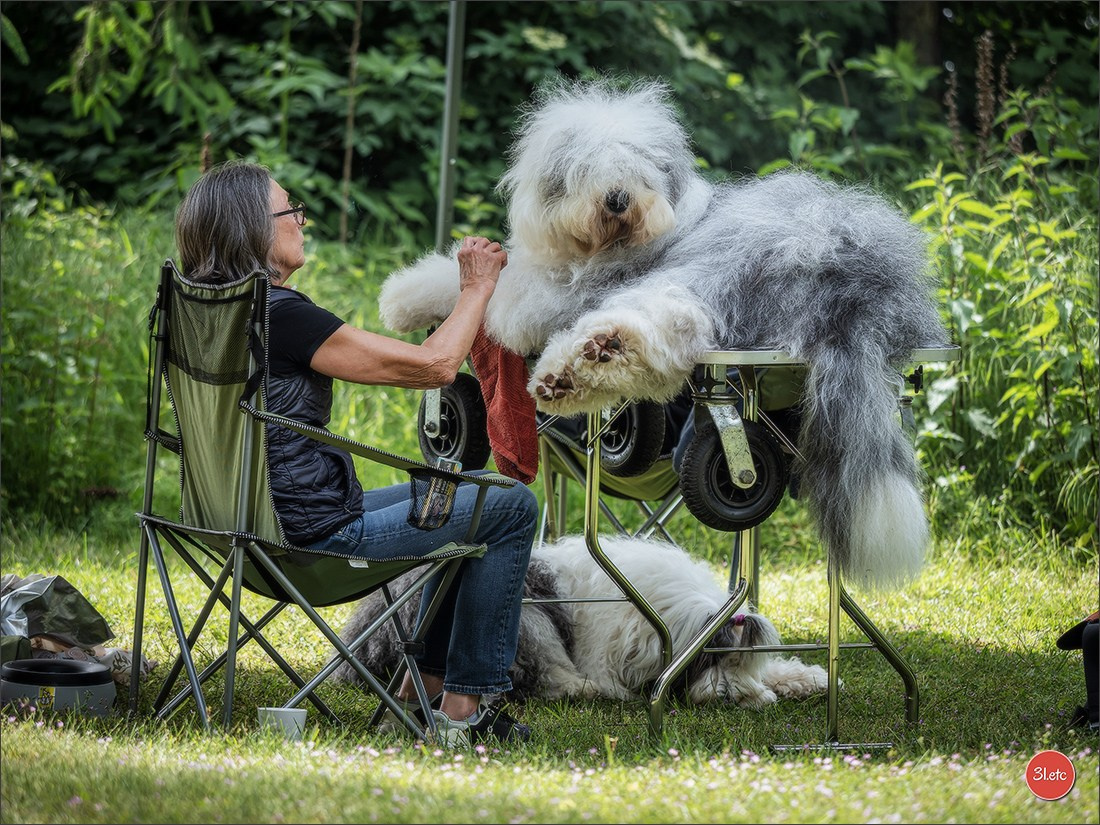 Photographie animalière. Photographe à Strasbourg | Portraits, Studio, Enfants, Événements