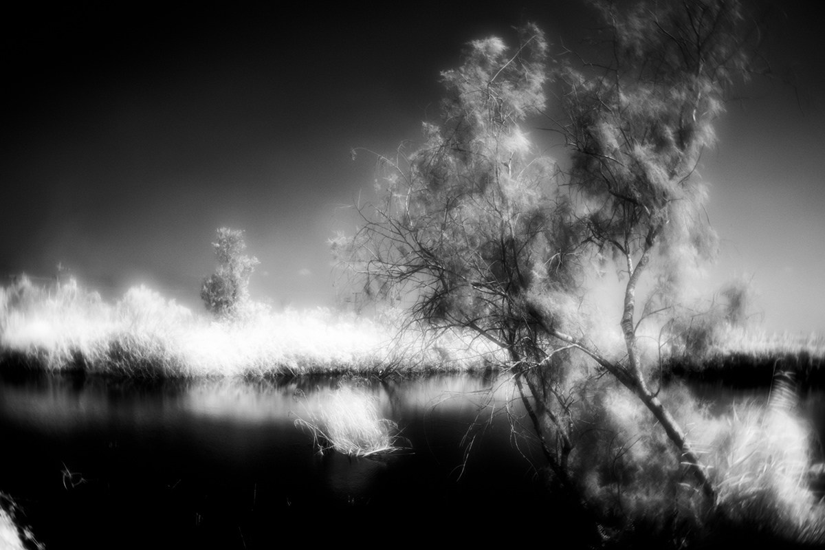 Отпечатки света. Фотограф в Израиле Максим Саяпин