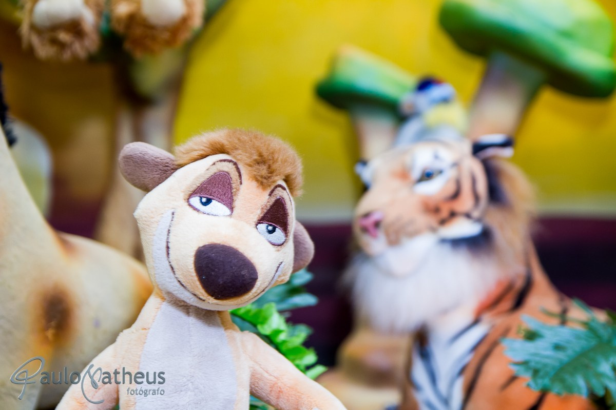 Fotografia de Festa Infantil. Fotógrafo Social e Corporativo em São Paulo/SP