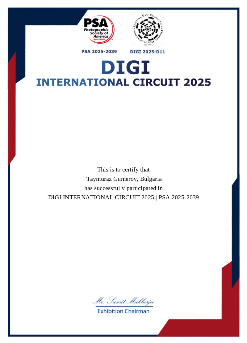 My Awards. Портретен и будоар фотограф в София | Таймураз Гумеров