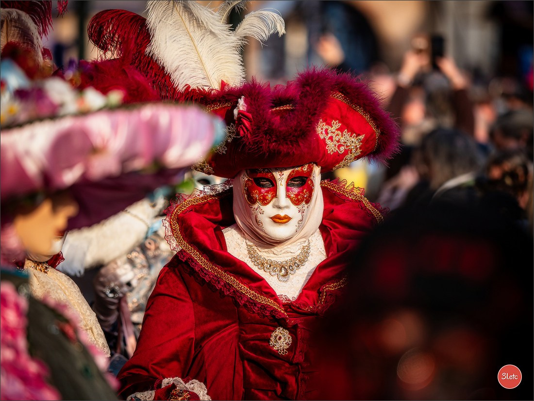 Carnaval vénitien de Rosheim 2026. Photographe à Strasbourg | Portraits, Studio, Enfants, Événements