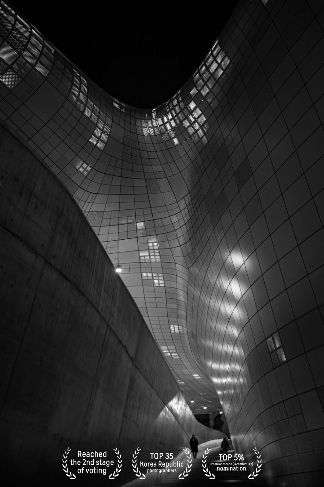 Results of the international photo contest 35 AWARDS. Photographer in Seoul Dobrokvashina Natalya