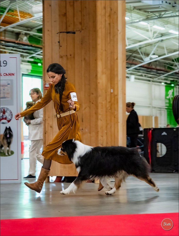 PDS  🇫🇷  Paris Dog Show  🇫🇷  Expo canine  10-11/01/2026. Photographe à Strasbourg | Portraits, Studio, Enfants, Événements