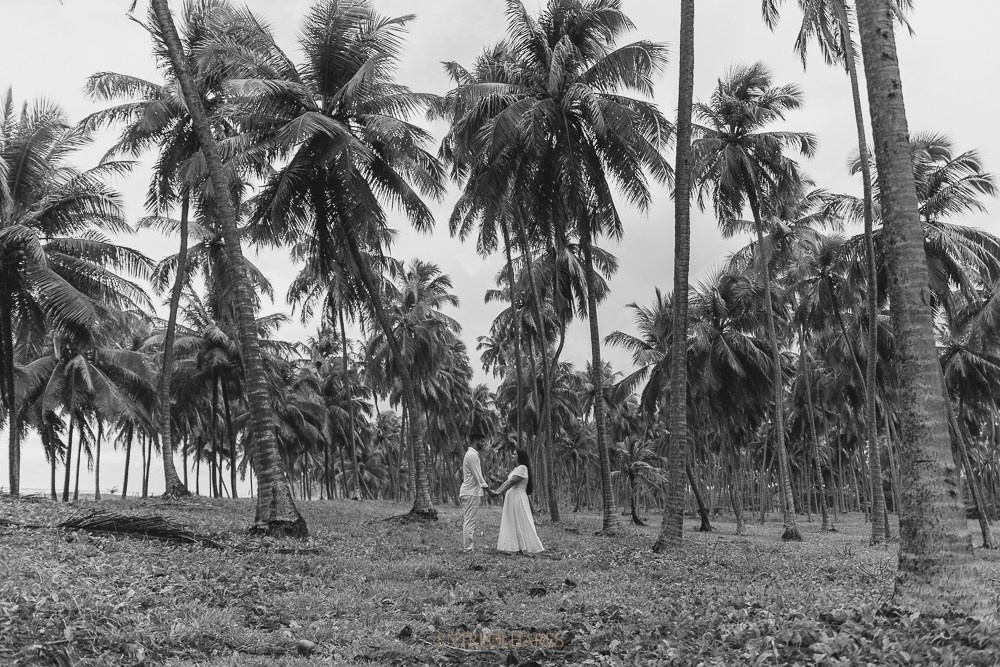 VIVIANE & CARLOS. EntreOlhares Fotografia e Filmagem de Casamentos em Recife/PE e João Pessoa/PB — Momentos únicos eternizados com sensibilidade