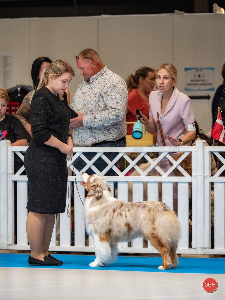🇱🇺 LUXEMBOURG 🇱🇺 International Dog Show 🇱🇺 30/08 - 31/08/2025. Photographe à Strasbourg | Portraits, Studio, Enfants, Événements