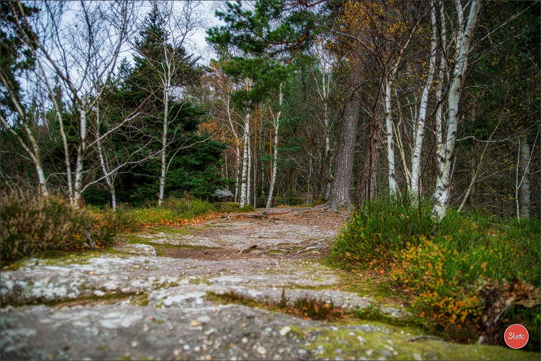 Rocher du Pfaffenlapp. Photographe à Strasbourg | Portraits, Studio, Enfants, Événements