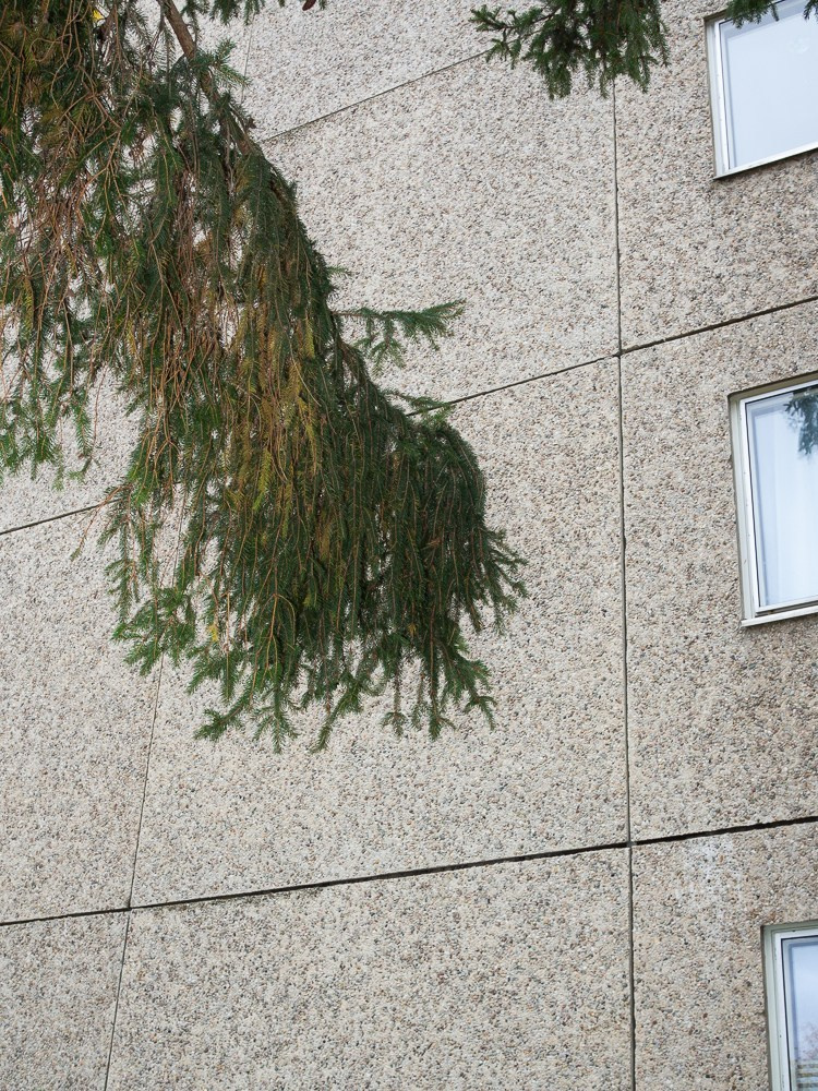 Social Housing. Anastasia Musinova