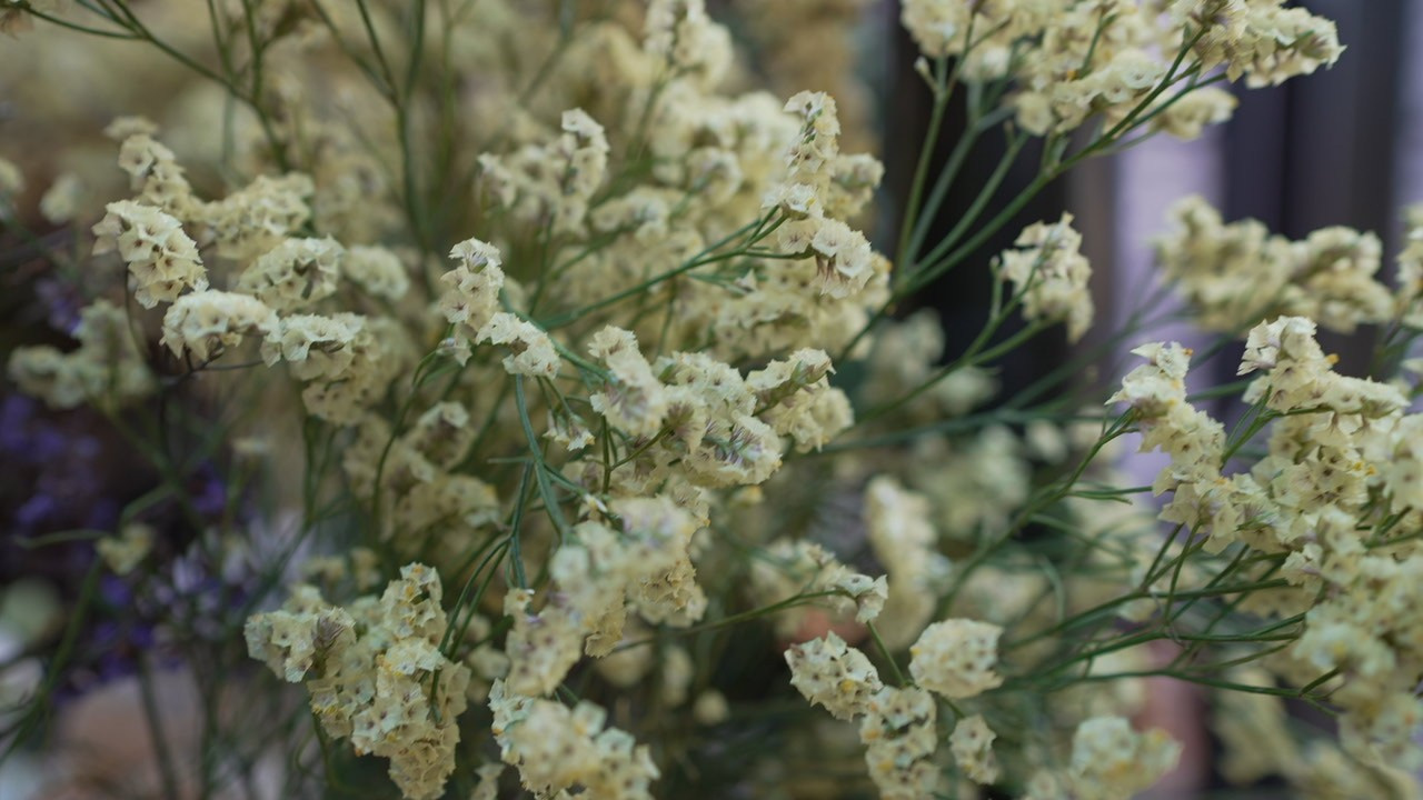 VIA / BASICO. Wedding and events photographers Studio Shalom