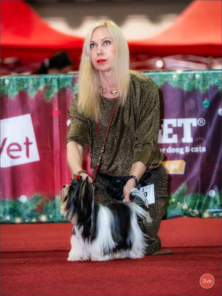 14-15.12.2024 Brussels Dog Show 🇧🇪. Photographe à Strasbourg | Portraits, Studio, Enfants, Événements