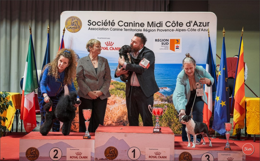 Expo canine 🇫🇷 Martigues 18-19/04/2026