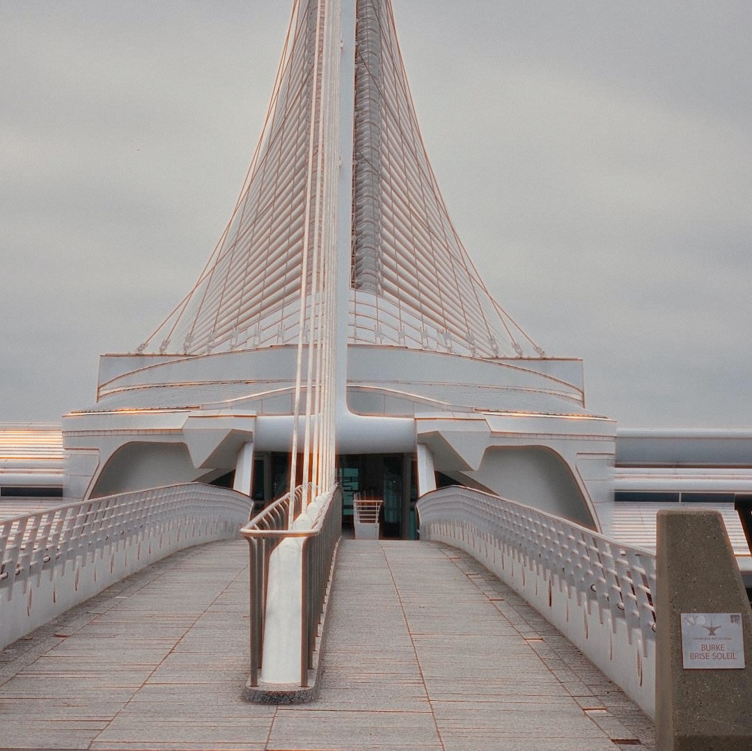 Lens work from the field 10