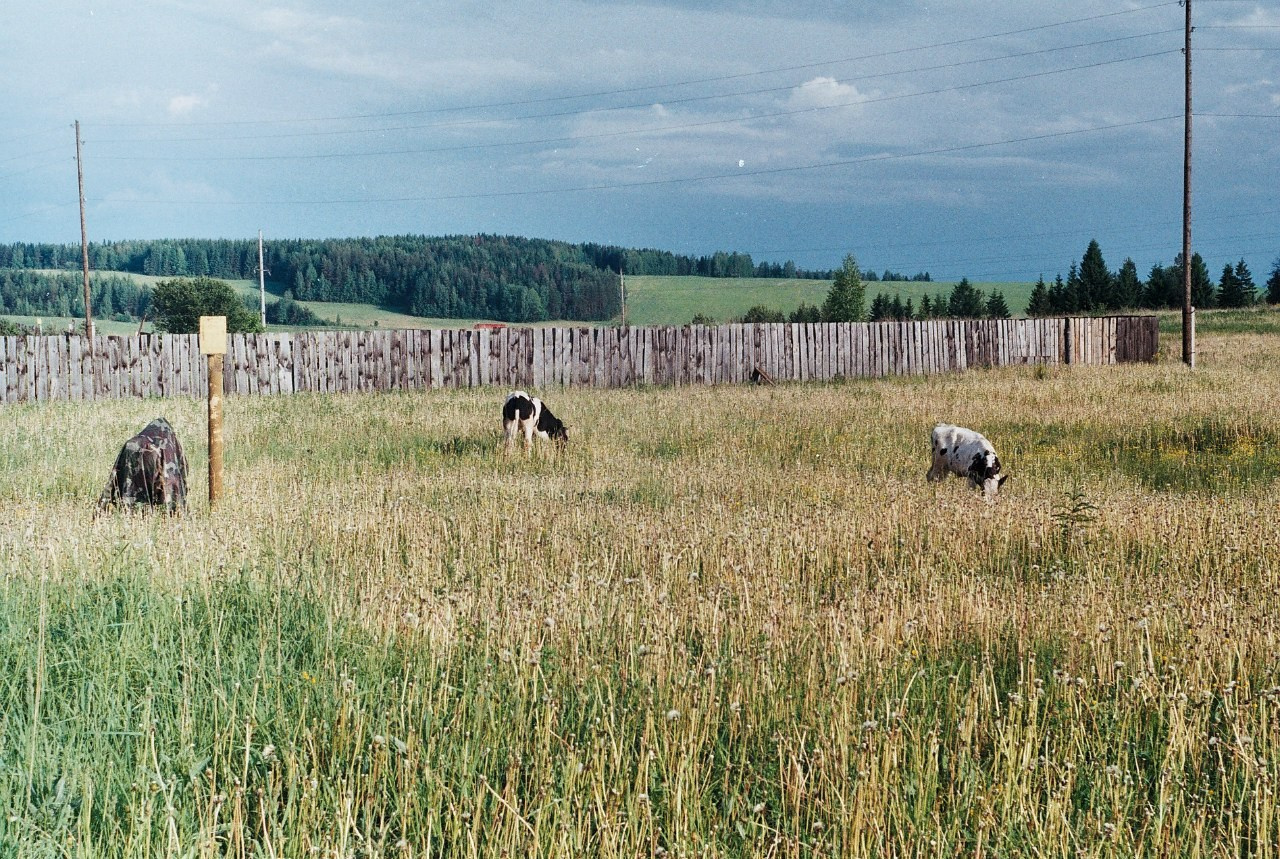Ochyor (Perm region, Russia) 2013. Elena Zykova film photographer in London
