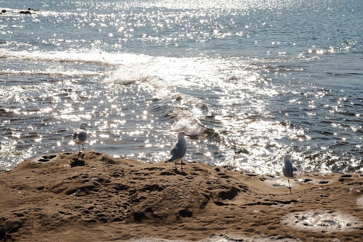 Malabar. Faya Photo: Boudoir Photography by Australia’s Top Female Photographer