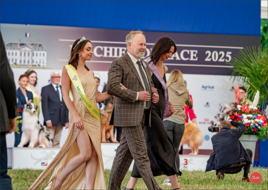Championnat de France du chien de race  🇫🇷  DIJON (château de Brognon) 7-8/06/2025. Photographe à Strasbourg | Portraits, Studio, Enfants, Événements
