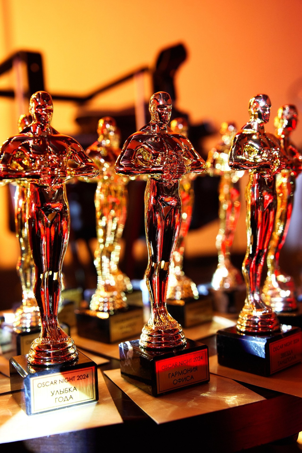 Review about the wedding photographer. Свадебный и семейный фотограф в Риге Игорь Давидович