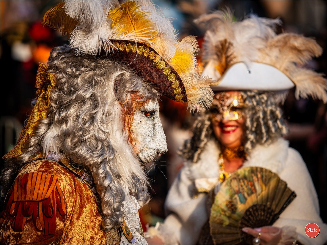 Carnaval vénitien de Rosheim 2026. Photographe à Strasbourg | Portraits, Studio, Enfants, Événements