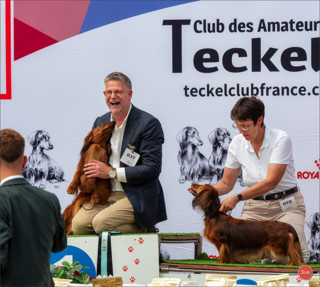 Expo canine (Teckel) Strasbourg Hoerdt  🇫🇷  5-6/07/2025. Photographe à Strasbourg | Portraits, Studio, Enfants, Événements