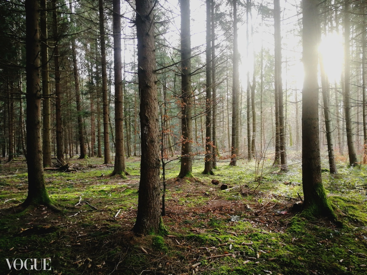 VOGUE. Nina Janeckova Fotografin und Videografin am Bodensee