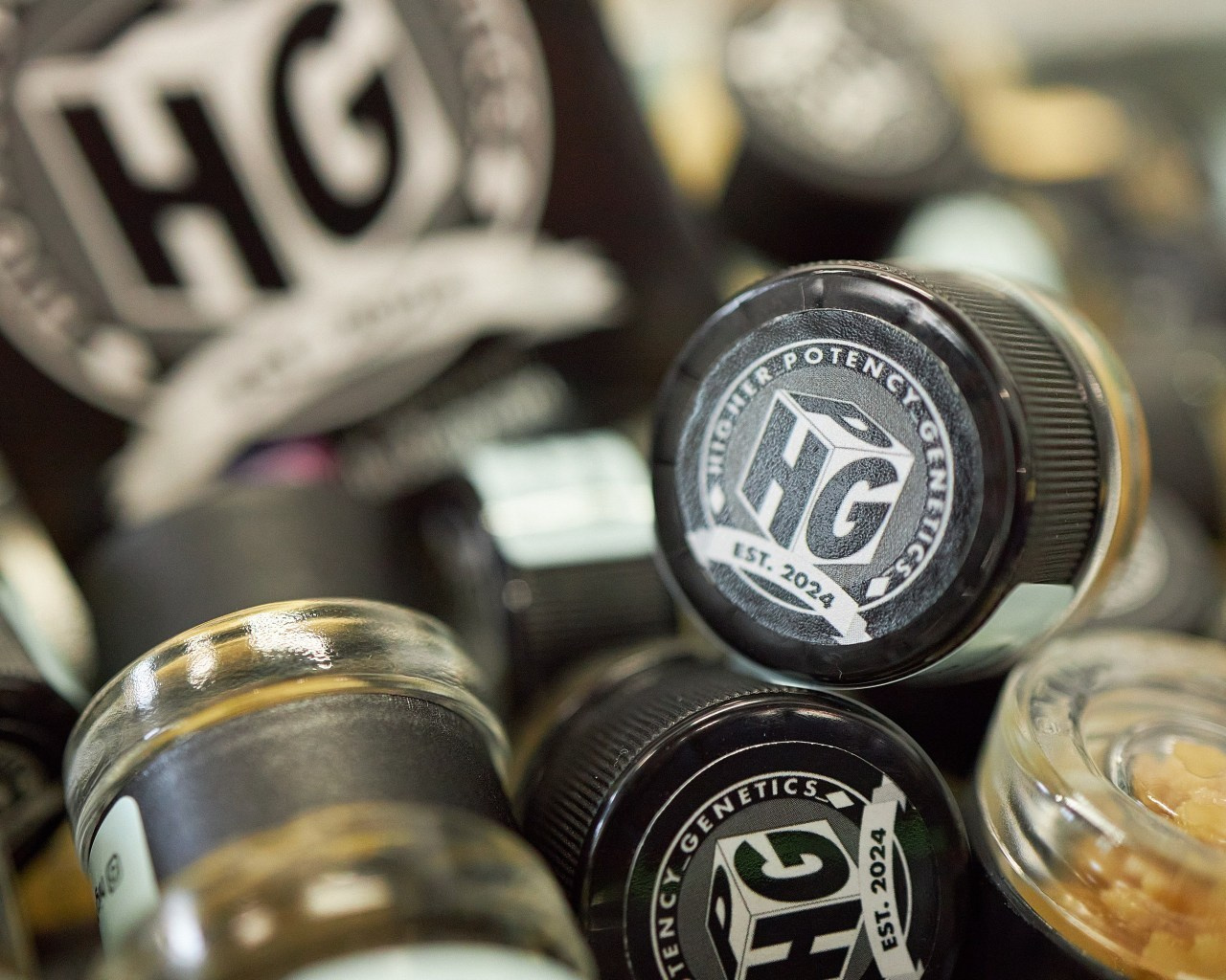 Reviews. Igor Pyltsin Photographer