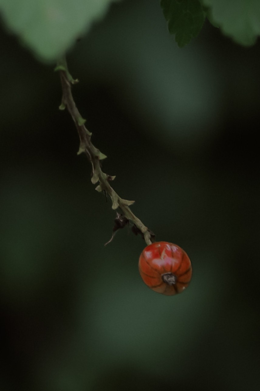 Film. Lifestyle & Documentary Photography in Bristol, Bath & London — def0cused