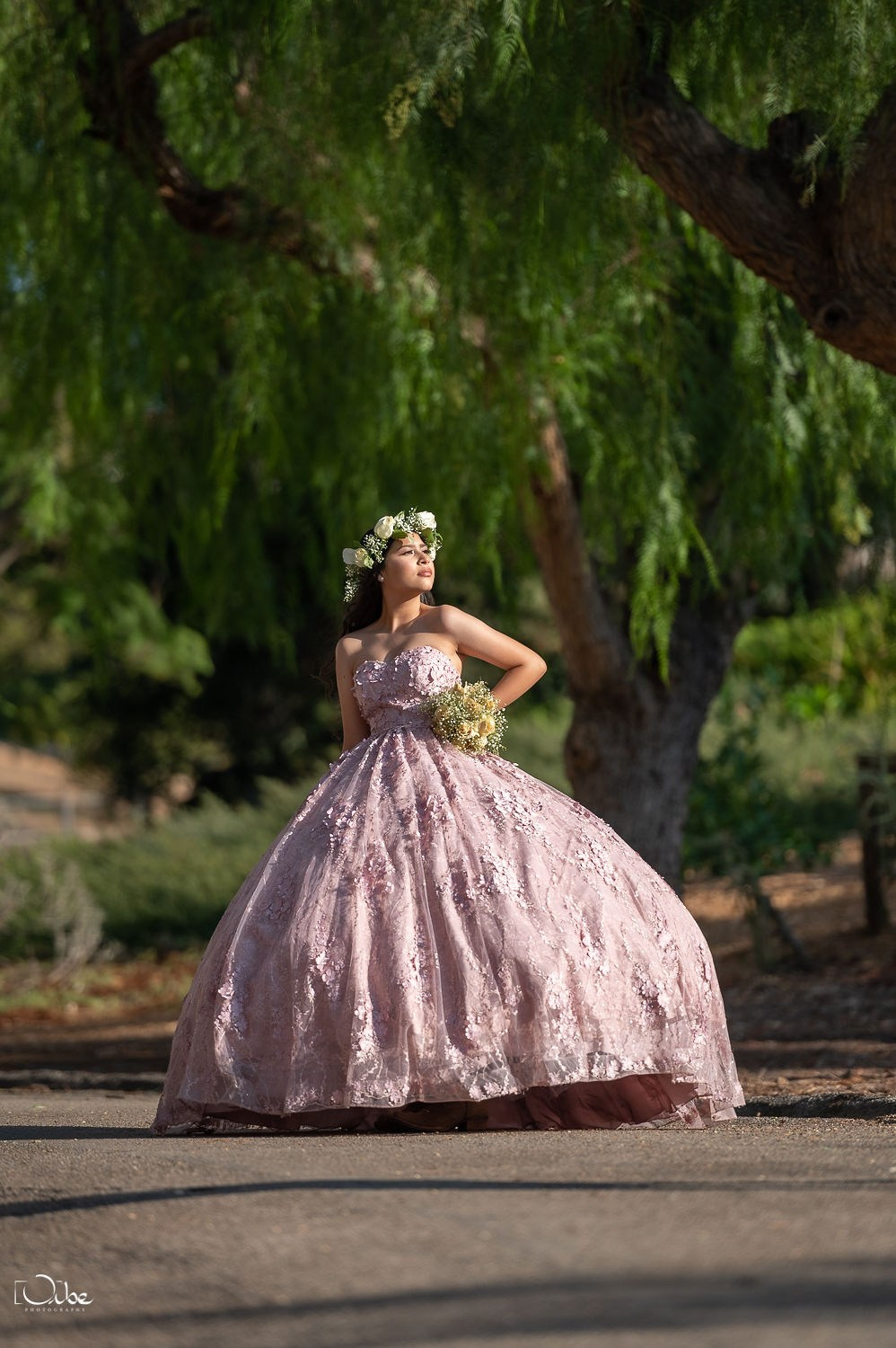 XV Fifteen. Orbephotography.com