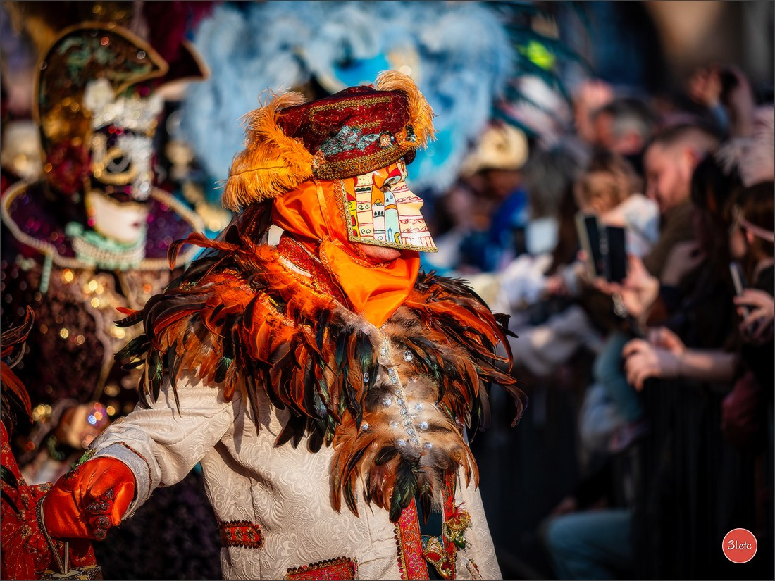 Carnaval vénitien de Rosheim 2026. Photographe à Strasbourg | Portraits, Studio, Enfants, Événements