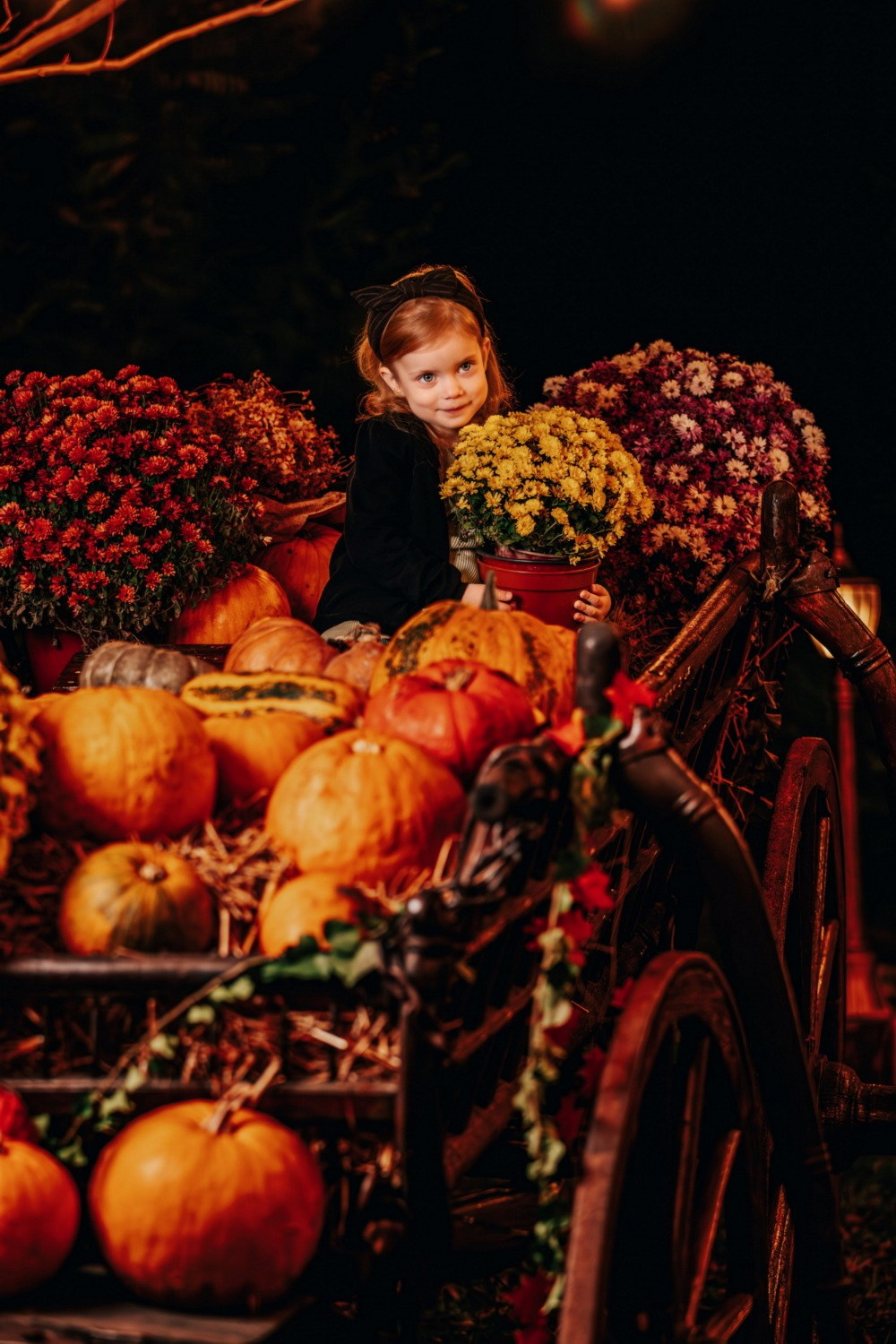 JESENJE FOTOGRAFISANJE. Fotografi iz Backog Petrovca David i Andrea Stojanovic