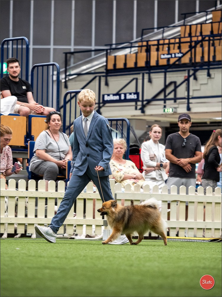 Dog Show Ludwigshafen  🇩🇪  16-17/08/2025. Photographe à Strasbourg | Portraits, Studio, Enfants, Événements