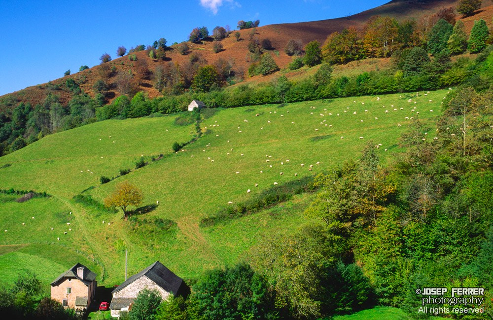 Farm, Bearn, France
