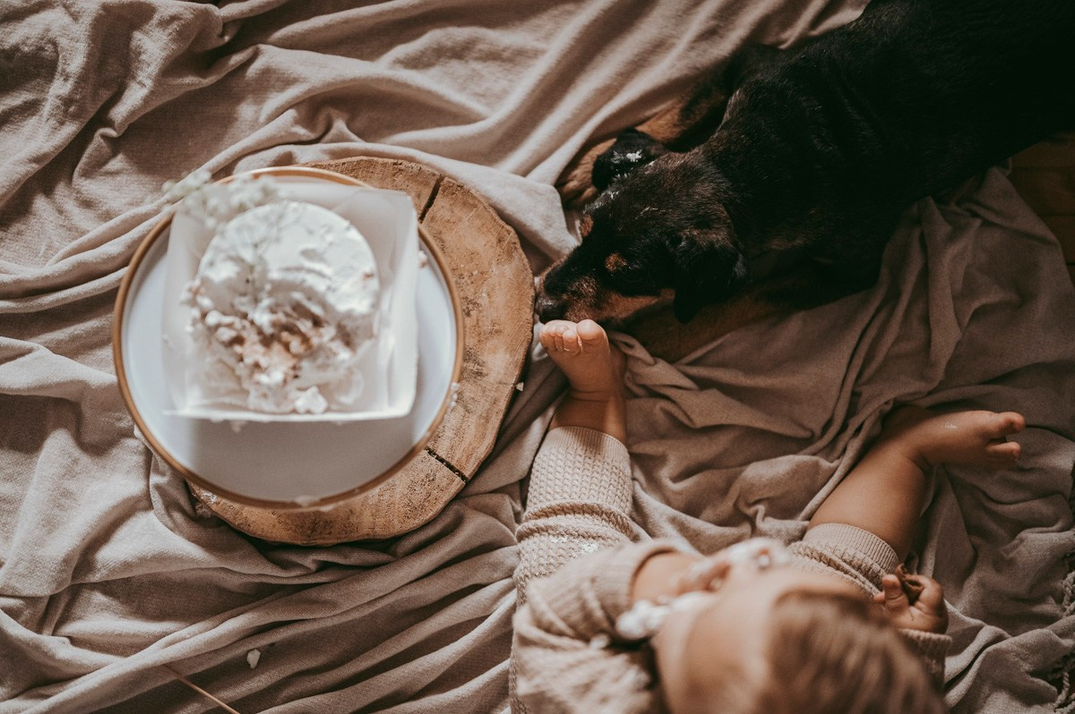 Filipova prva proslava rodjendan kod kuce. Deciji i porodicni fotograf u Beogradu Oksana Skendzic