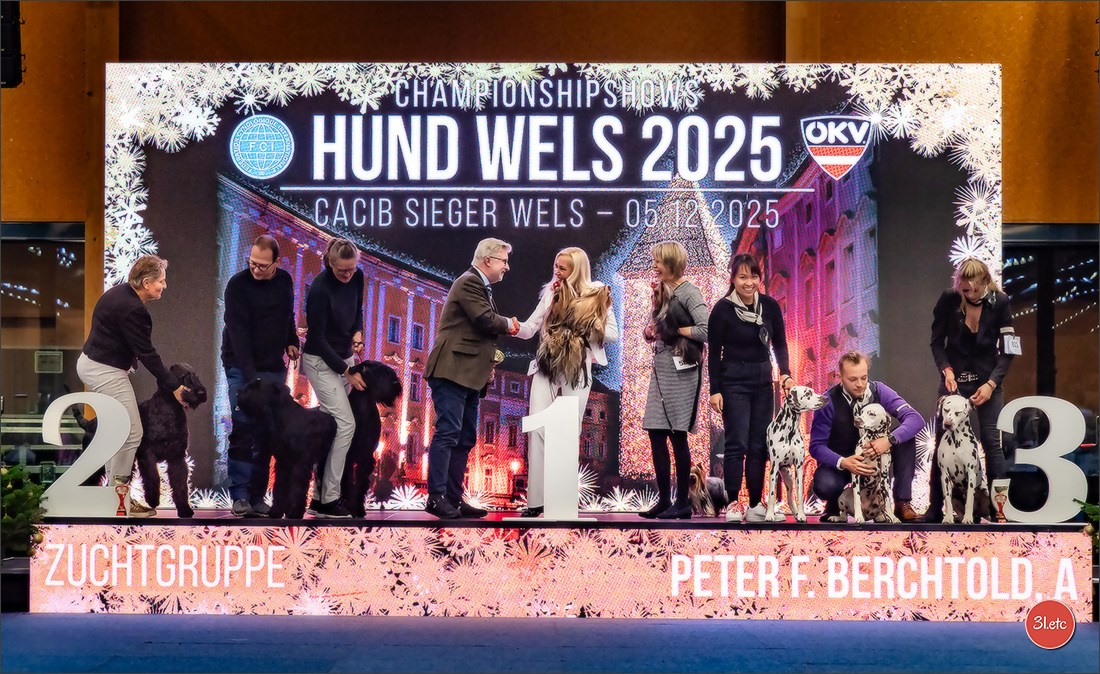 Dog Show WELS   🇦🇹  06-07/12/2025. Photographe à Strasbourg | Portraits, Studio, Enfants, Événements